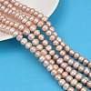 Natural Cultured Freshwater Pearl Beads Strands PEAR-I007-07J-07B-1