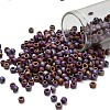 TOHO 6/0 Round Beads SEED-XTR06-0406F-1