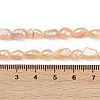 Natural Cultured Freshwater Pearl Beads Strands PEAR-P064-20H-02B-5