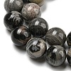 Natural Black Silver Leaf Jasper Beads Strands G-R494-A17-04-3