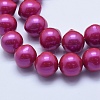 Shell Pearl Beads Strands BSHE-E020-01-4
