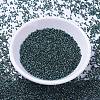 MIYUKI Delica Beads SEED-J020-DB1006-2