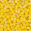 FGB Imitation Jade Colours Glass Seed Beads SEED-Q040-07A-C03-3