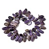 Natural Charoite Beads Strands G-P604-A29-01-3