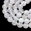 Natural Agate Beads Strands G-M435-B01-01Q-4