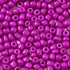 6/0 Glass Seed Beads SEED-S058-A-F449-3