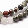 Natural African Bloodstone Beads Strands G-G735-32-8mm-3