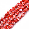 Natural Trochid Shell/Trochus Shell Beads Strands SSHEL-N032-48-A05-1