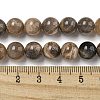 Natural Black Moonstone Beads Strands G-Q183-A01-01-5