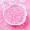 MIYUKI Delica Beads SEED-MY11-DB0245-2
