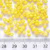 8/0 Baking Paint Glass Round Seed Beads SEED-S036-01B-05-3