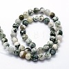 Natural Tree Agate Beads Strands X-G-I199-03-8mm-2