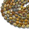 Natural Crazy Agate Beads Strands G-K389-D04-01-3