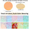80G 10 Colors PVC Paillette Pendants FIND-SC0023-20D-2