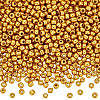 100G 6/0 Glass Seed Beads SEED-SP0001-12B-01-1