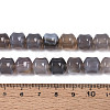 Natural Grey Agate Beads Strands G-N353-06A-07-5