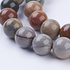 Natural Ocean Jasper Beads Strands G-P318-01-10mm-3