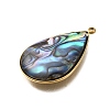 304 Stainless Steel Pave Natural Paua Shell Pendants STAS-Z125-01F-G-2