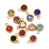 Birthstone 201 Stainless Steel Rhinestone Charms X-STAS-G368-01G-2