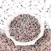 Baking Paint Glass Seed Beads SEED-Q041-03A-14-2