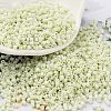 Baking Paint Glass Seed Beads X-SEED-S042-05B-63-1