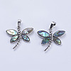 Abalone Shell/Paua Shell Pendants X-SSHEL-L008-07P-2