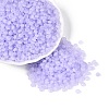 Transparent Glass Seed Beads SEED-Q041-01G-2