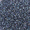 MIYUKI Delica Beads Small SEED-X0054-DBS0179-3