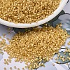 MIYUKI Delica Beads SEED-X0054-DB2186-1
