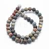 Natural Ocean Agate/Ocean Jasper Beads Strands G-G716-02-8mm-2