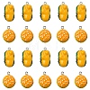 20Pcs 2 Styles Opaque Resin Pendants RESI-YW0003-40-1