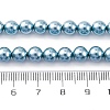 Shell Pearl Beads Strands BSHE-K015-6mm-02-2