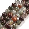 Natural Four Seasons Lodolite Quartz Beads Strands G-Z063-A02-02-1