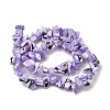 Natural Trochid Shell/Trochus Shell Beads Strands SHEL-B003-02F-2