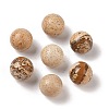 Natural Picture Jasper No Hole Sphere Beads G-K353-04B-15-1