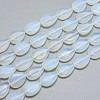 Opalite Beads Strands G-G793-01B-04-1