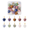 Fashewelry 20Pcs 10 Styles Natural Mixed Gemstone Pendants G-FW0001-39-12