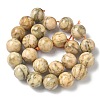 Natural Feldspar Beads Strands G-F818-A06-16mm-02-3