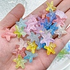 Transparent Resin Beads RESI-F056-04-2