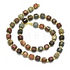 Natural Picasso Jasper Beads Strands G-I376-D86-01-2