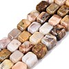 Natural Crazy Agate Beads Strands G-Q608-10B-2