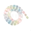 Macaron Color Natural Selenite Beads Strands G-F750-M03-02-3