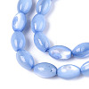 Natural Trochus Shell Beads Strands SHEL-K006-19-01A-3