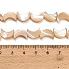 Natural Trochid Shell/Trochus Shell Beads Strands SH-CBA93AD-01-4