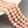 Natural Cultured Freshwater Pearl Beads Strands PEAR-C003-09E-2