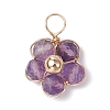 Natural Amazonite & Apatite & Rose Quartz & Amethyst & Red Agate Faceted Round Beaded Pendants PALLOY-JF03606-01-3
