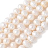 Natural Cultured Freshwater Pearl Beads Strands PEAR-I007-07O-02C-2