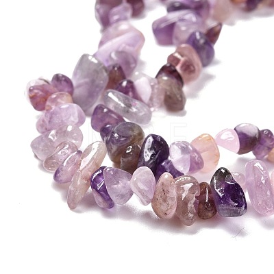 Natural Amethyst Beads Strands G-P332-07-1