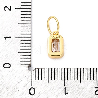 925 Sterling Silver Cubic Zirconia Charms STER-NH0014-01G-11-1