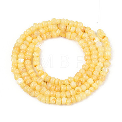 Natural Freshwater Shell Dyed Beads Strands SHEL-T020-29B-08-1
